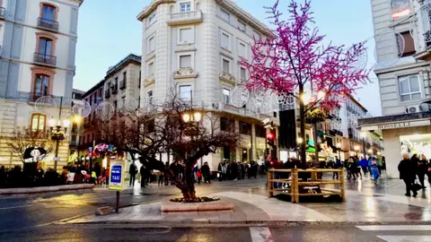 Granada en Navidad Alumbrado Navideño en Granada