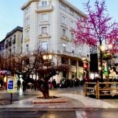 Granada en Navidad 