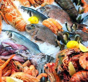 Pescado en una pescadería Pescado en una pescadería