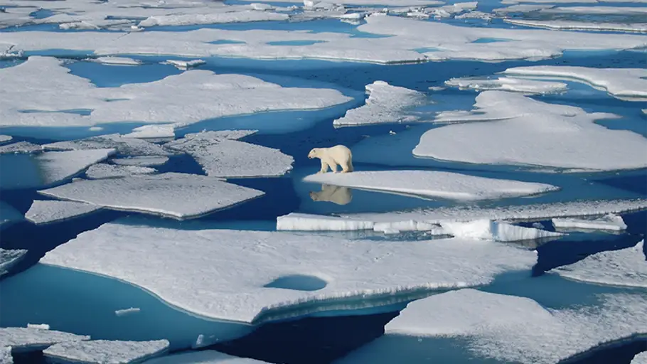 El deshielo en el Ártico Polar Contraparte