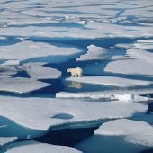 El deshielo en el Ártico Polar
