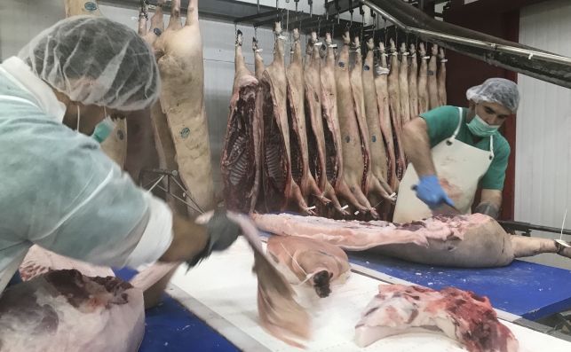 Los mataderos en la zona de restricción de la viruela ovina deberán cumplir ciertas condiciones Los mataderos en la zona de restricción de la viruela ovina deberán cumplir ciertas condiciones