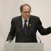 El presidente de la Generalitat, Quim Torra El presidente de la Generalitat, Quim Torra