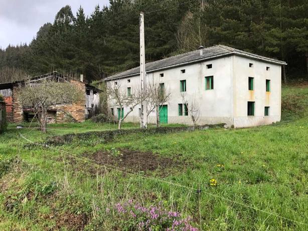 Mesa de redacción: Una pareja de holandeses compra una aldea gallega Mesa de redacción: Una pareja de holandeses compra una aldea gallega