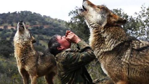 Una imagen y mil palabras