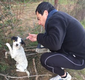 Juanma Moreno se encuentra un perrito abandonado Juanma Moreno se encuentra un perrito abandonado