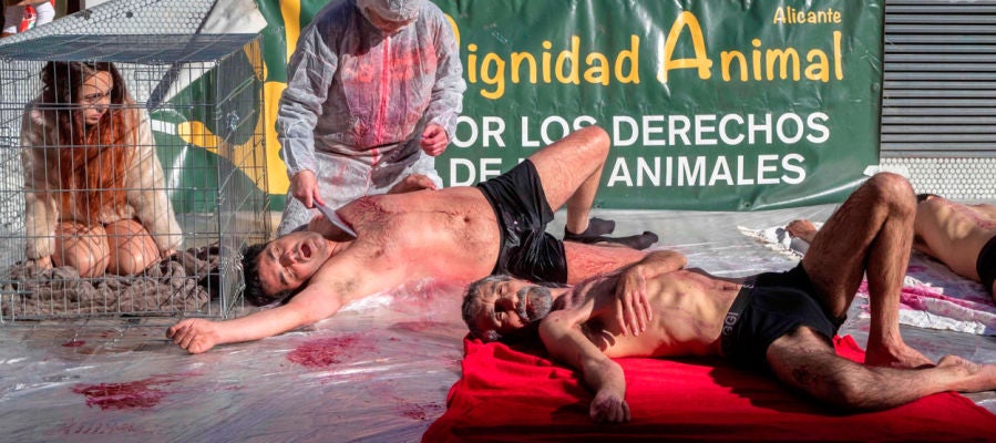 Protesta animalista en Murcia Protesta animalista en Murcia