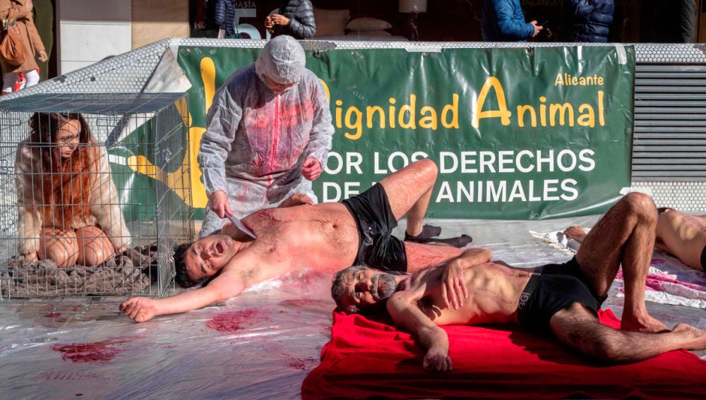 Protesta animalista en Murcia