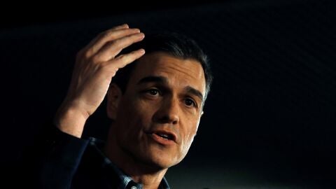 El presidente del Gobierno, Pedro S&aacute;nchez