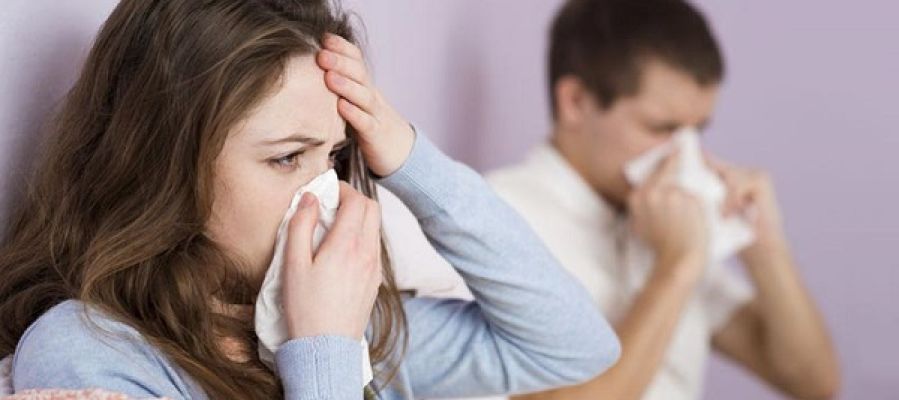 Gripe: La SEIMC elabora un decálogo de recomendaciones para combatirla Gripe: La SEIMC elabora un decálogo de recomendaciones para combatirla