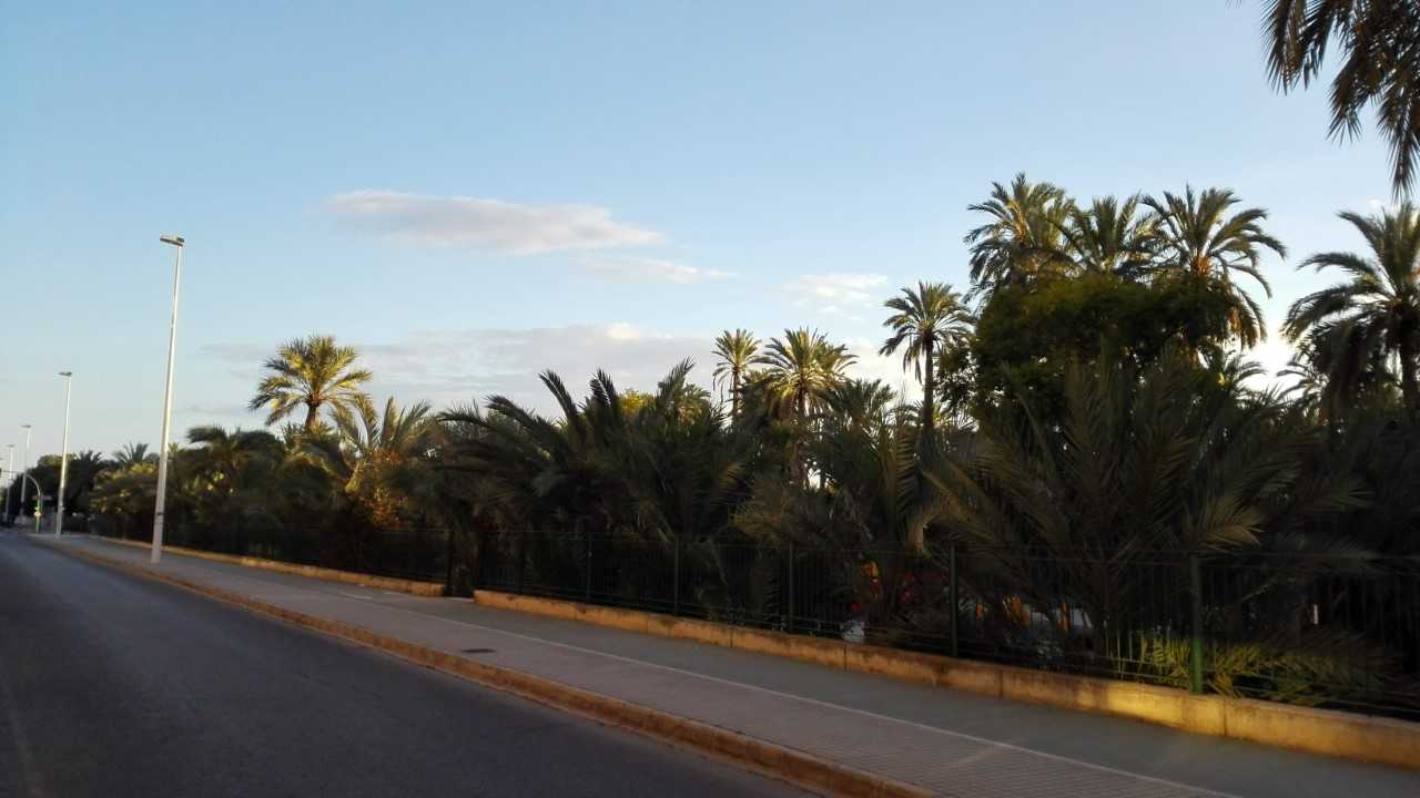 La ola de frío se aleja provocando un ascenso de las temperaturas en Elche, Crevillent y Santa Pola La ola de frío se aleja provocando un ascenso de las temperaturas en Elche, Crevillent y Santa Pola