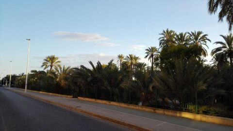 Avenida de Santa Pola