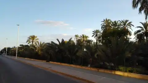 Avenida de Santa Pola Avenida de Santa Pola