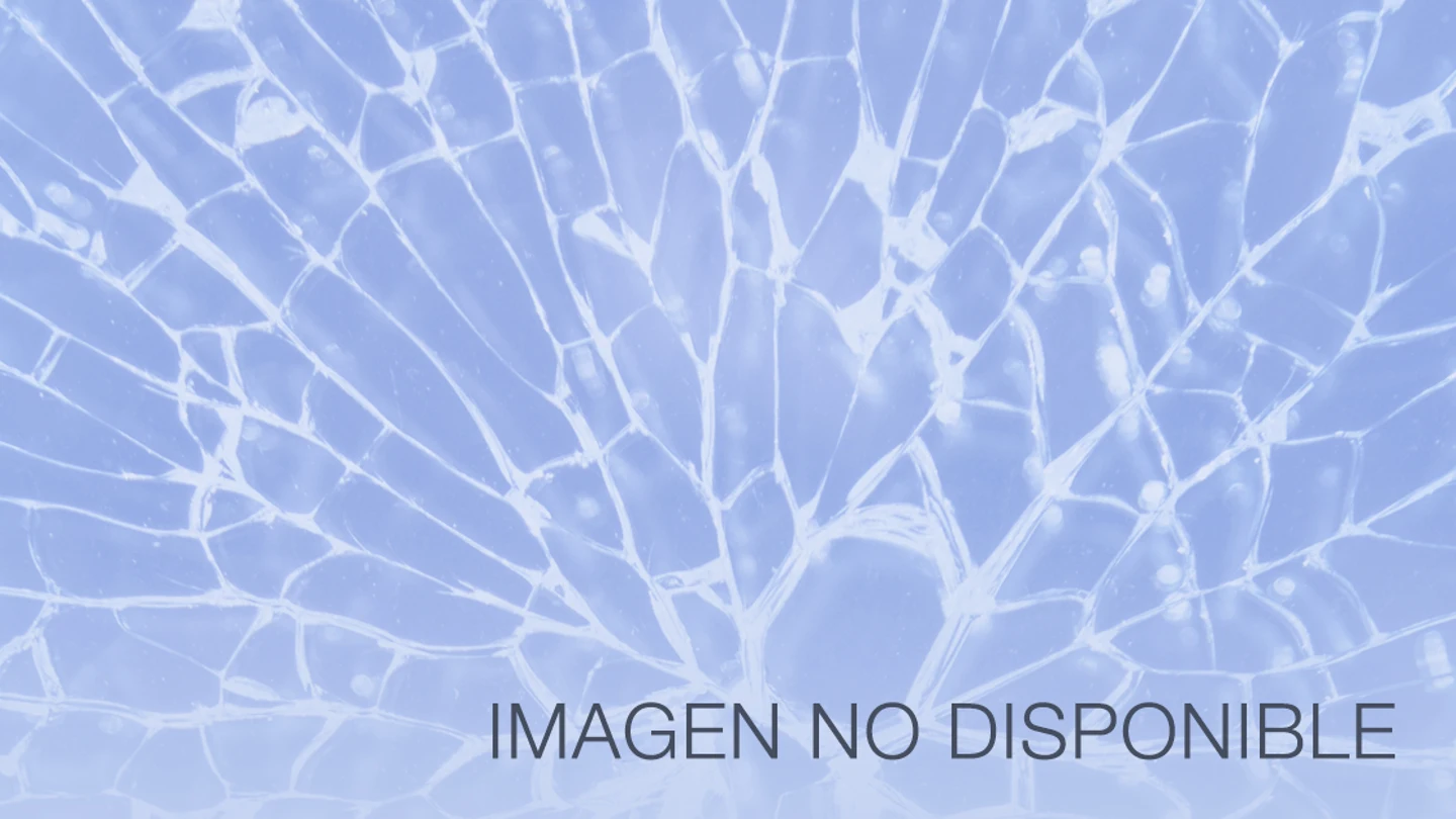 Imagen no disponible Imagen no disponible