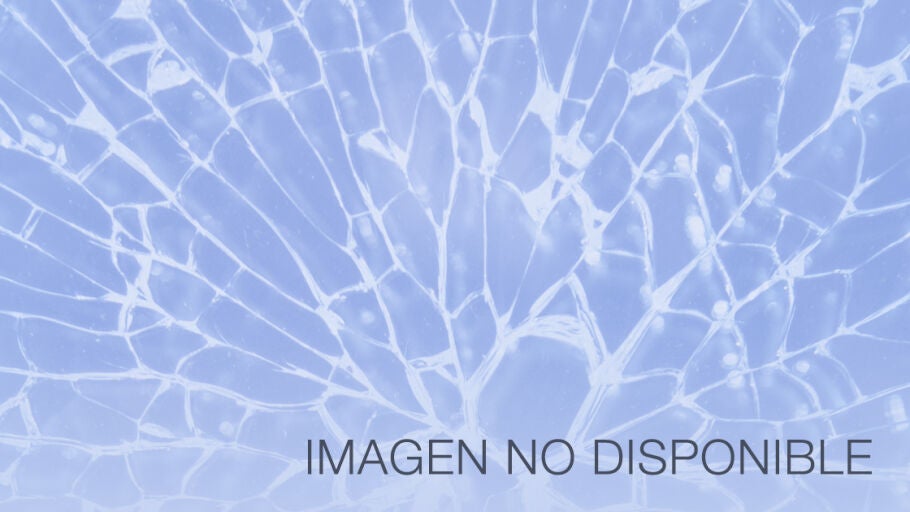 Imagen no disponible