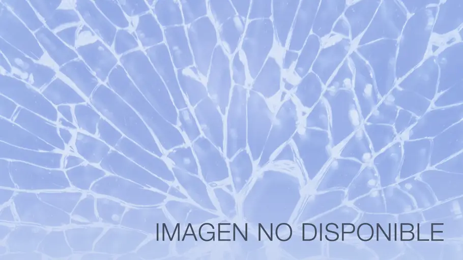 Imagen no disponible Imagen no disponible