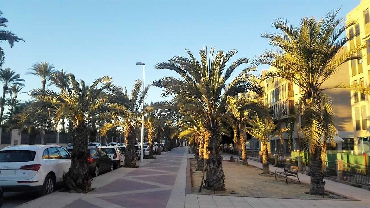 El PP de Elche pide mejoras en la iluminación de distintas zonas de la ciudad El PP de Elche pide mejoras en la iluminación de distintas zonas de la ciudad