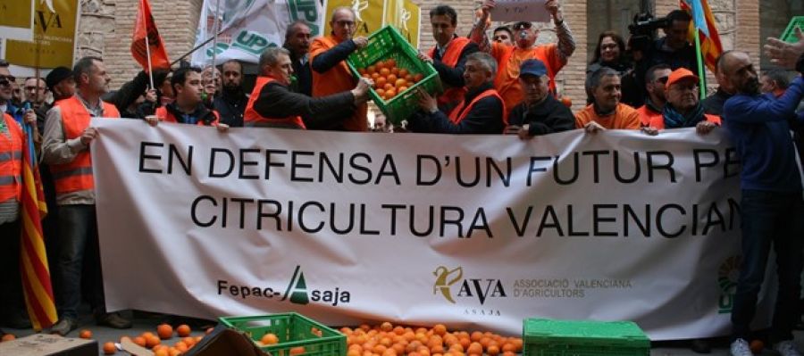 Manifestación FEPAC-ASAJA en defensa de la citricultura valenciana. Manifestación FEPAC-ASAJA en defensa de la citricultura valenciana.