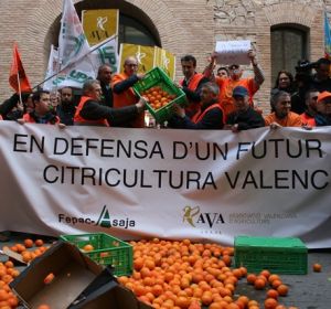 Manifestación FEPAC-ASAJA en defensa de la citricultura valenciana. Manifestación FEPAC-ASAJA en defensa de la citricultura valenciana.