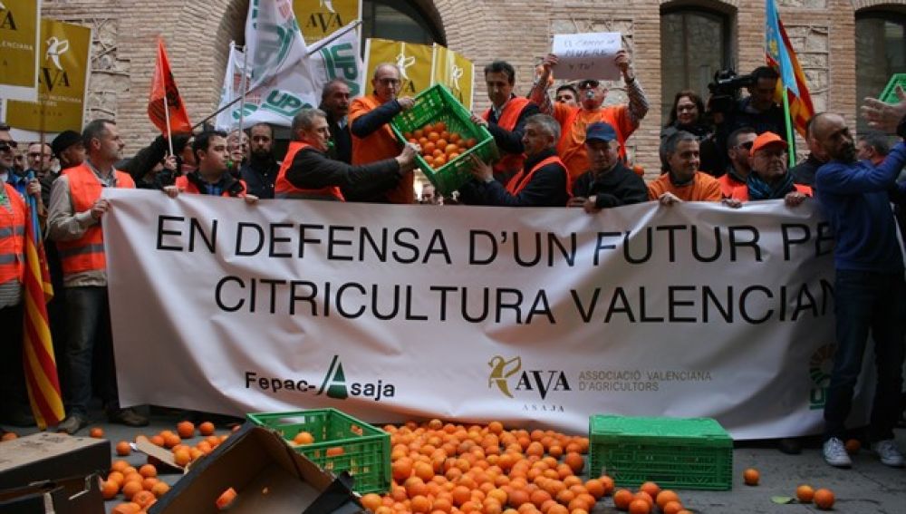 Manifestación FEPAC-ASAJA en defensa de la citricultura valenciana.