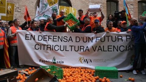 Manifestaci&oacute;n FEPAC-ASAJA en defensa de la citricultura valenciana.