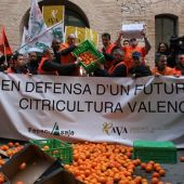 Manifestación FEPAC-ASAJA en defensa de la citricultura valenciana.