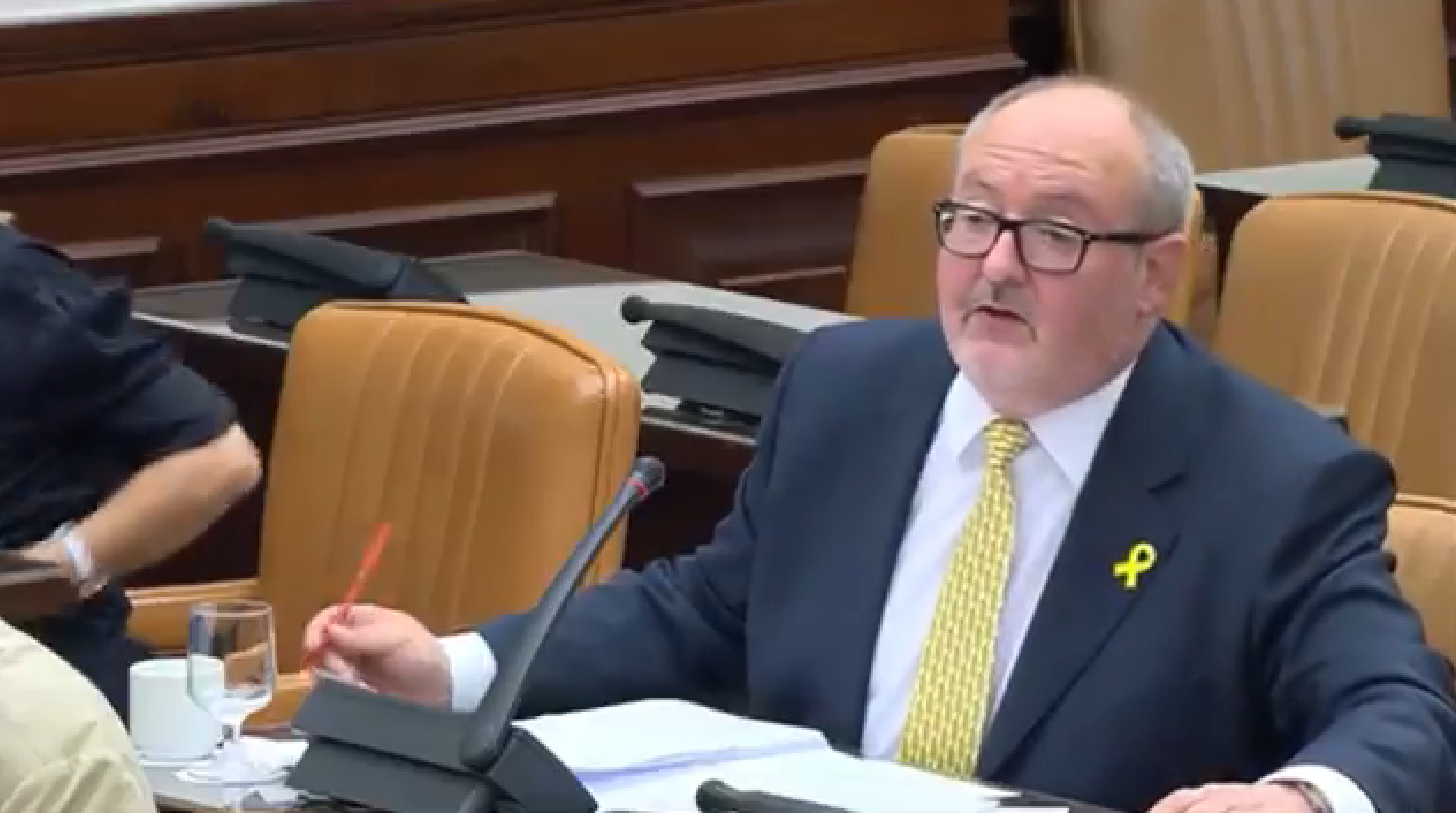 Su Señoría: Joan Capdevila Su Señoría: Joan Capdevila