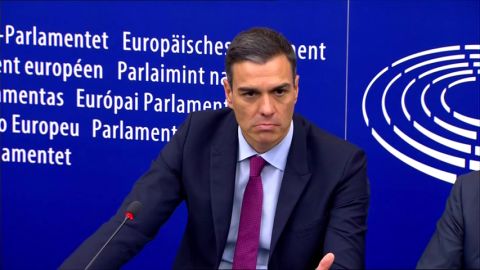Pedro S&aacute;nchez 2