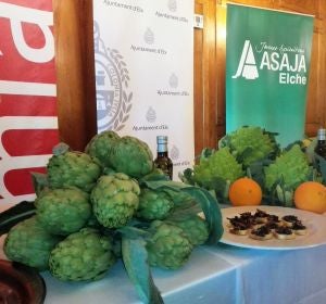 Muestra de las hortalizas de invierno que se cultivan en la agricultura de Elche Muestra de las hortalizas de invierno que se cultivan en la agricultura de Elche