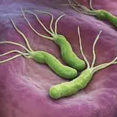 Helicobacter Pylori Helicobacter Pylori