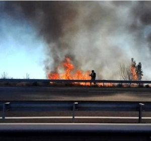 Archivo. Incendio cercano a la autovía A7 Archivo. Incendio cercano a la autovía A7