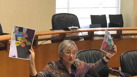 Anxeles Cuña, no parlamento de Galicia Anxeles Cuña, no parlamento de Galicia