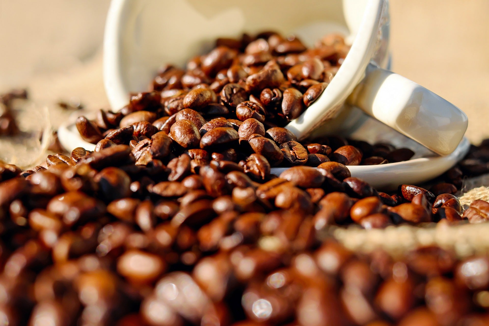 Qué sabemos de...el café Qué sabemos de...el café