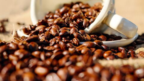Imagen de archivo granos de caf&eacute;