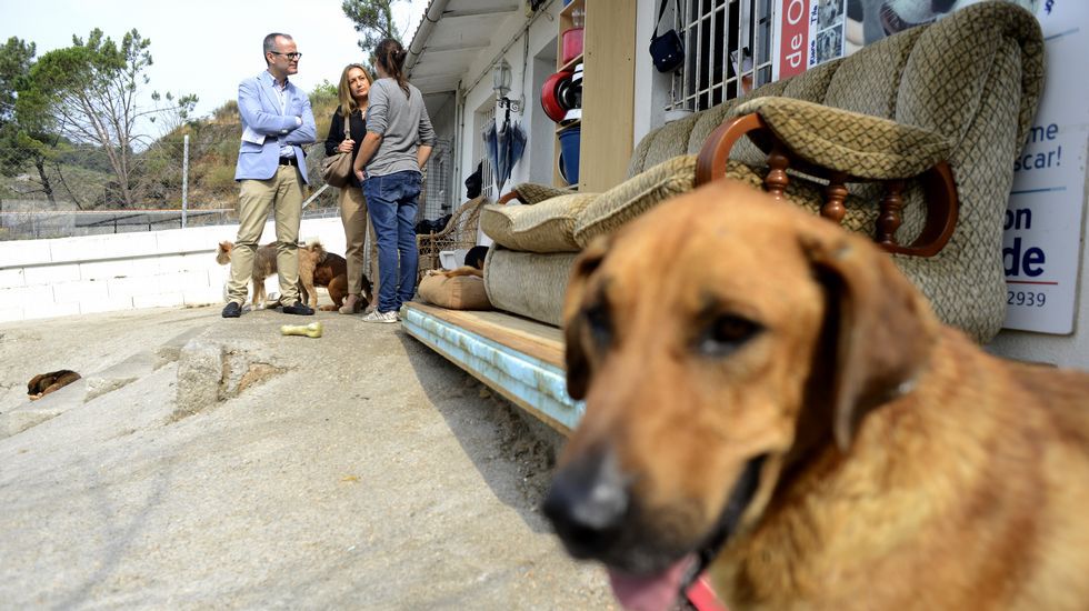 O Concello aproba o proxecto para a reforma e adaptación da Canceira Municipal O Concello aproba o proxecto para a reforma e adaptación da Canceira Municipal
