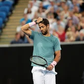 Verdasco se lamenta en un partido Verdasco se lamenta en un partido