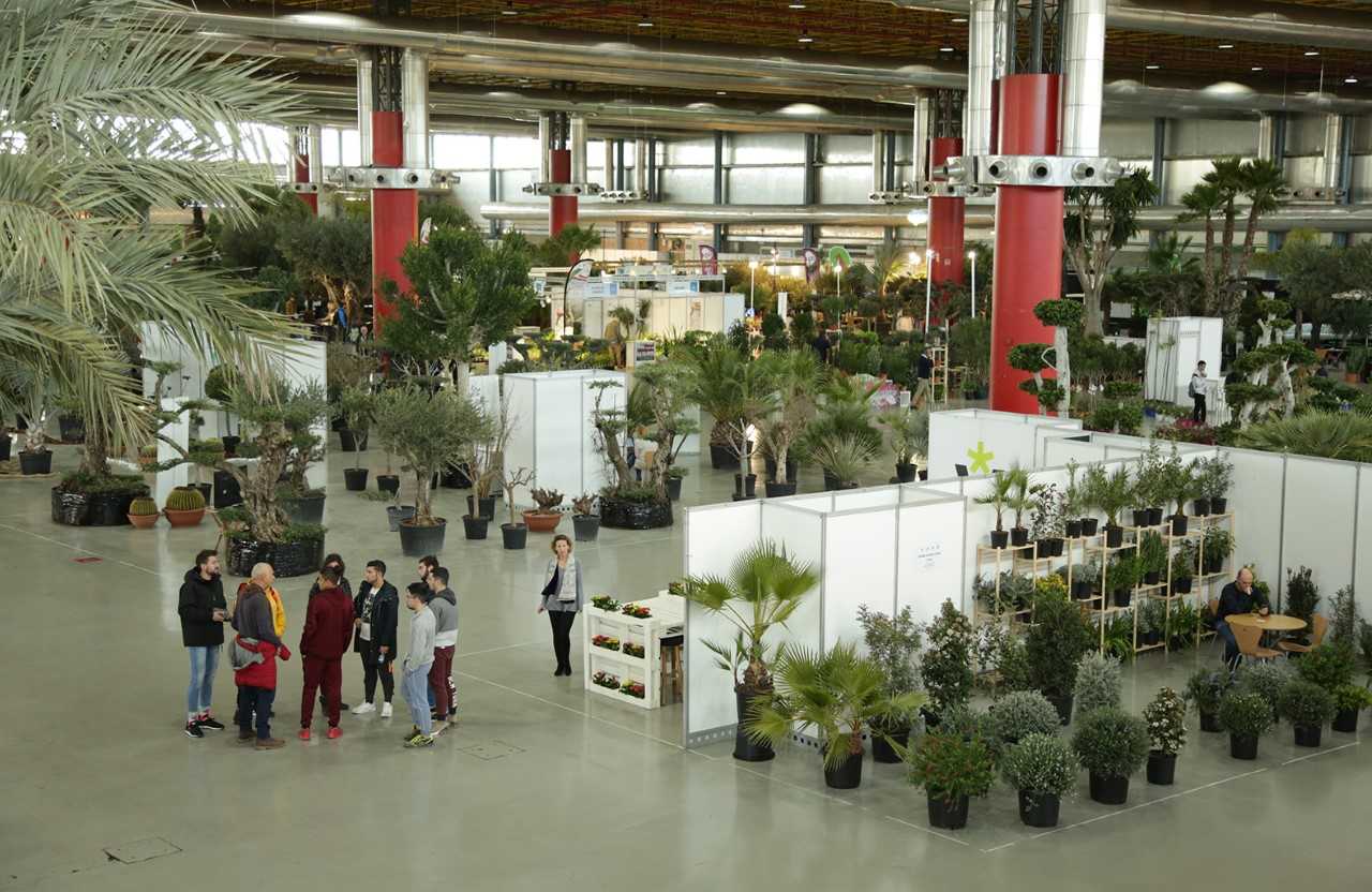 Viveralia transforma un año más IFA en un gigantesco jardín Viveralia transforma un año más IFA en un gigantesco jardín