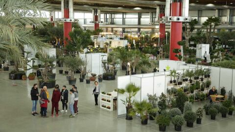 Feria Viveralia en IFA