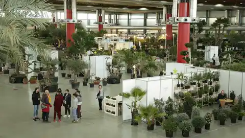 Feria Viveralia en IFA Feria Viveralia en IFA