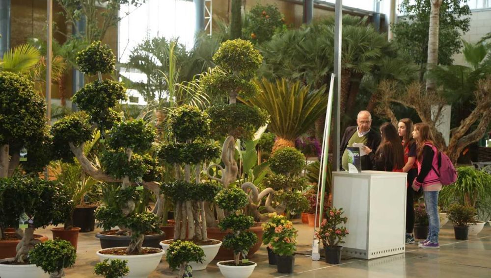 Feria Viveralia 2019