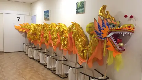 Dragón articulado preparado para participar en el desfile de Elche con motivo del Año Nuevo Chino Dragón articulado preparado para participar en el desfile de Elche con motivo del Año Nuevo Chino