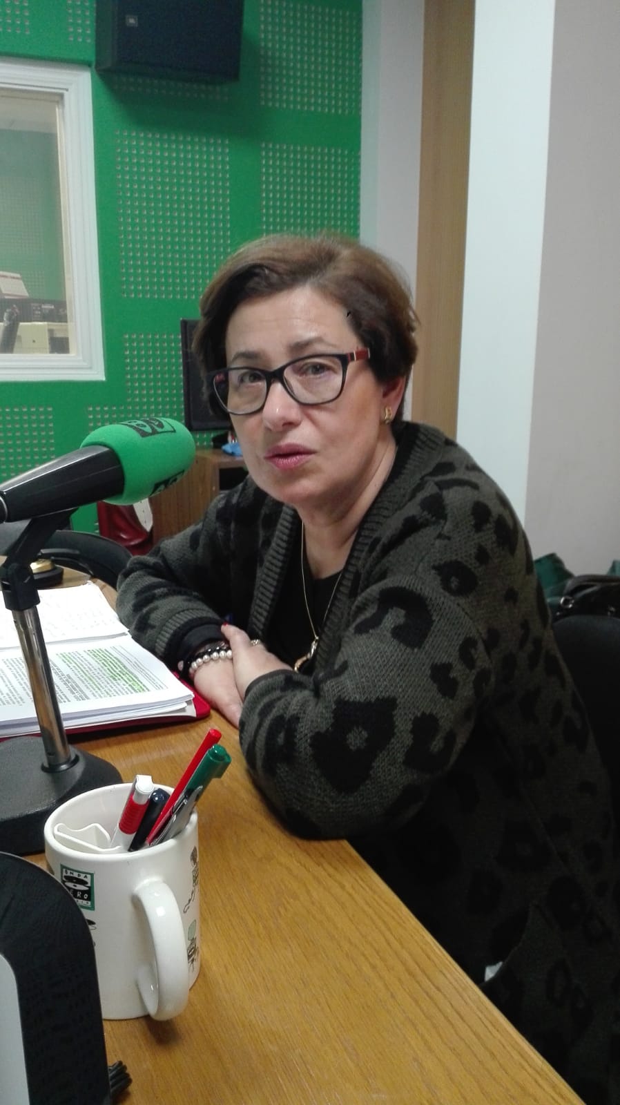 Elvira Lama, voceira socialista na Deputación en Onda Cero Elvira Lama, voceira socialista na Deputación en Onda Cero