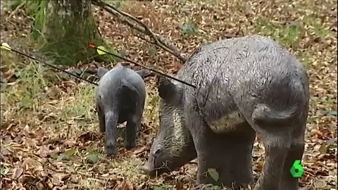 Recreación de un jabalí cazado Recreación de un jabalí cazado