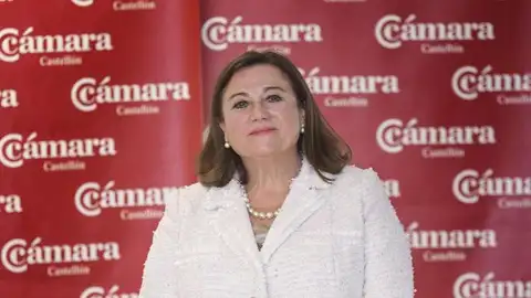 Lola Guillamón, presidenta de la Cámara de Comercio de Castellón. Lola Guillamón, presidenta de la Cámara de Comercio de Castellón.