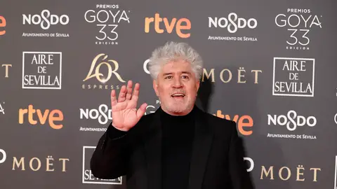 Pedro Almodóvar Alfombra roja Premios Goya 2019