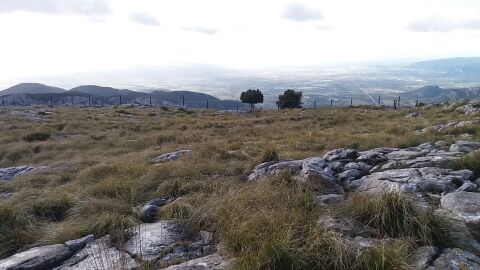 Imagen de la Serra d'Alf&agrave;bia donde se quer&iacute;a construir la vivienda
