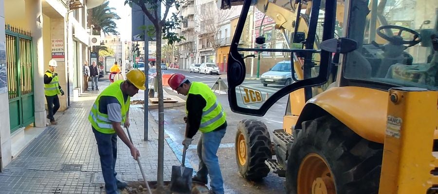 Dos operarios plantan un árbol en una calle de Elche Dos operarios plantan un árbol en una calle de Elche