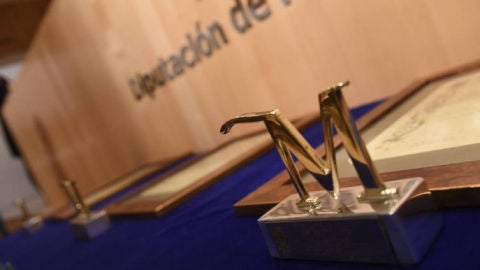 Distinci&oacute;n de la Diputaci&oacute;n provincial