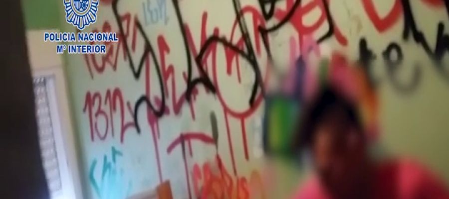Detenidos 18 grafiteros tras asaltar y pintar los vagones de varios trenes del metro de Madrid Detenidos 18 grafiteros tras asaltar y pintar los vagones de varios trenes del metro de Madrid