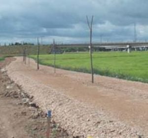 El carril bici conectaría Miguelturra y Ciudad Real El carril bici conectaría Miguelturra y Ciudad Real
